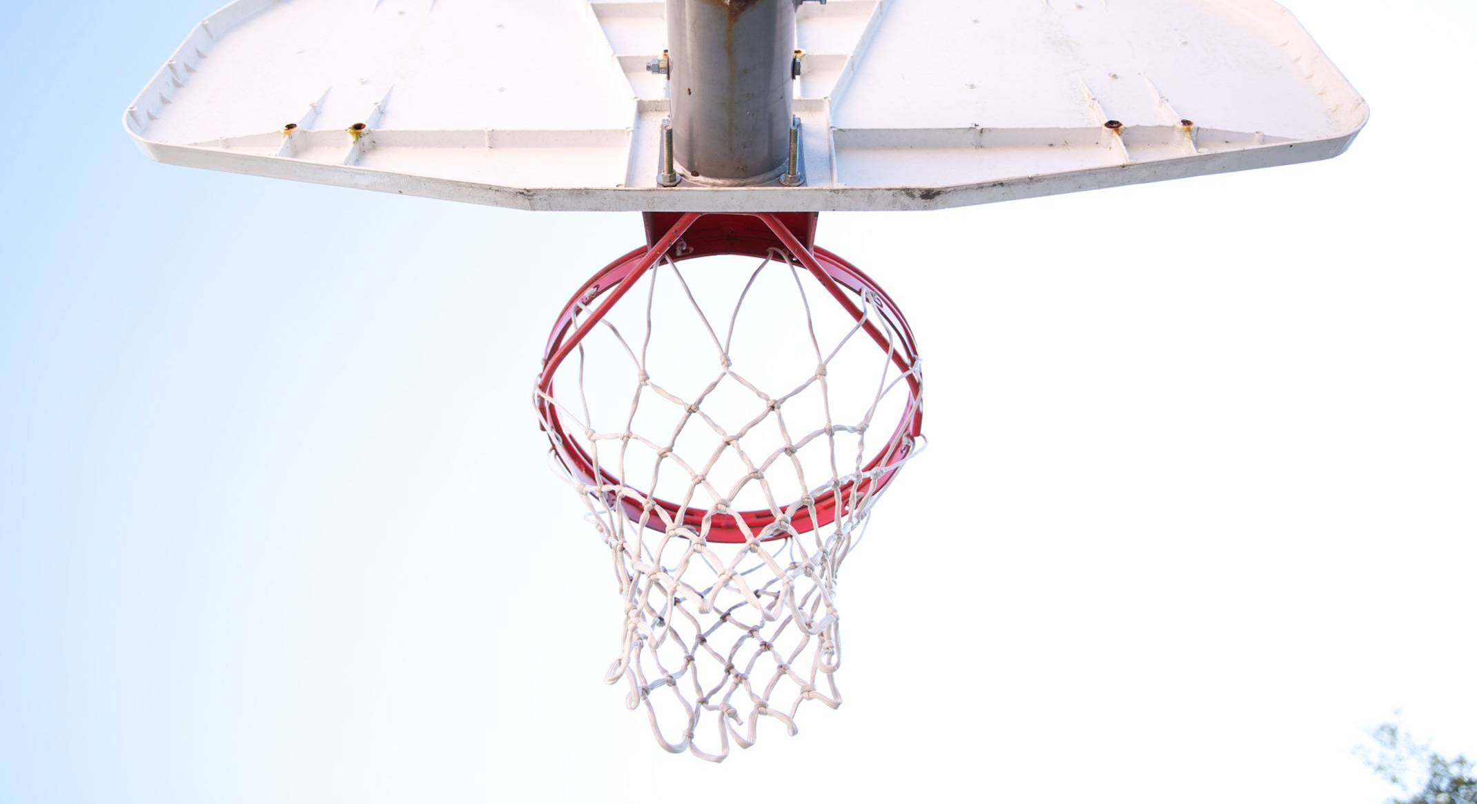 basketball-1149991_edited basketball-1149991_edited